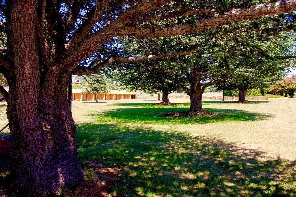 Snowy Mountains Resort And Function Centre Adaminaby Luaran gambar
