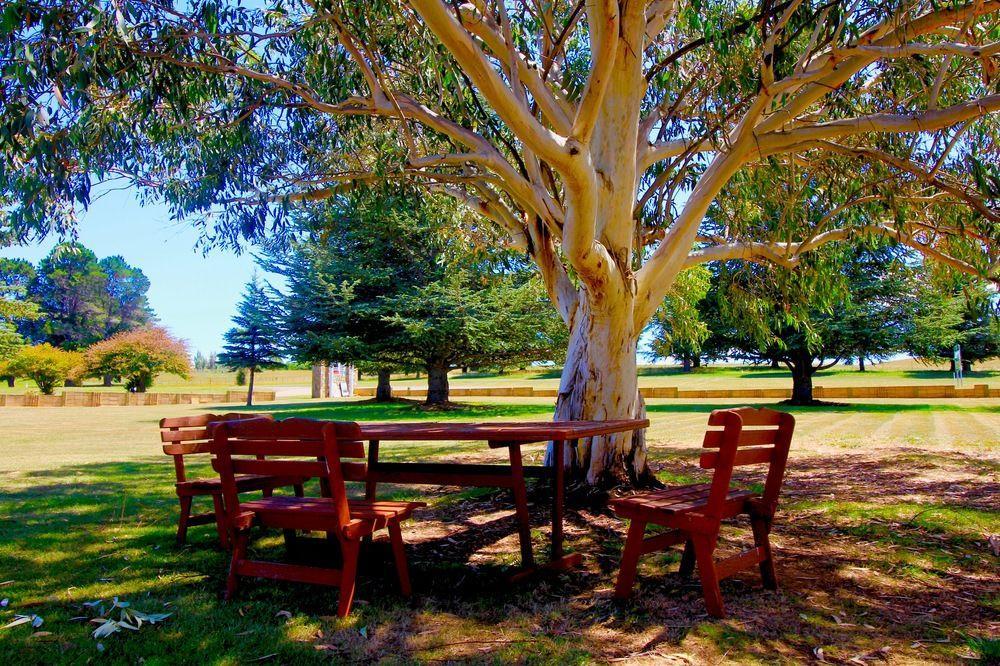 Snowy Mountains Resort And Function Centre Adaminaby Luaran gambar